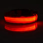 Nylon LED Night Safety Flashing Glow