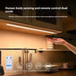 LED Cabinet Light